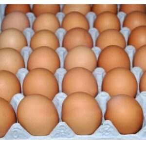 Organic Brown Eggs